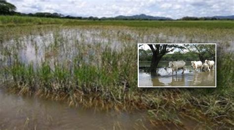 Mag Habilita L Nea Telef Nica Para Productores Agropecuarios Afectados