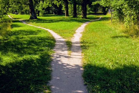 Divergence Of Paths A Wide Asphalt Road In The Park Is Divided Into