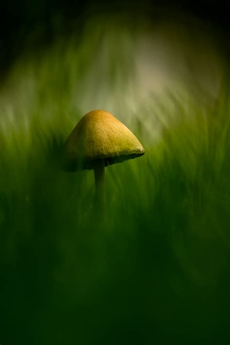 Im Letzten Licht Des Tages Forum Für Naturfotografen