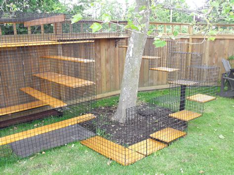 Indoor Cat Cages Enclosures Ideas On Foter