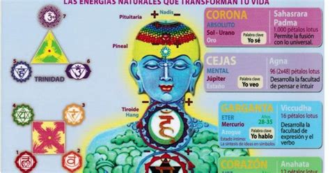 LOS CHAKRAS El sistema energético y los cuerpos sutiles del hombre La