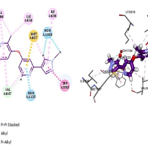 Docked Structure Of CSF1R Kinase Domain With Small Molecule Multikinase