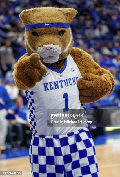 Kentucky Mascot Photos And Premium High Res Pictures Getty Images