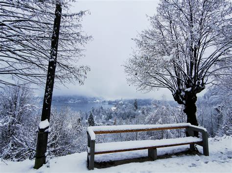 Zimska Idila Na Sobotno Jutro Na Gorenjskem Bo Sneg V Ponedeljek Tudi