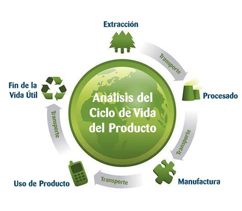 El Ciclo De Vida Del Producto Mapa Mental Images