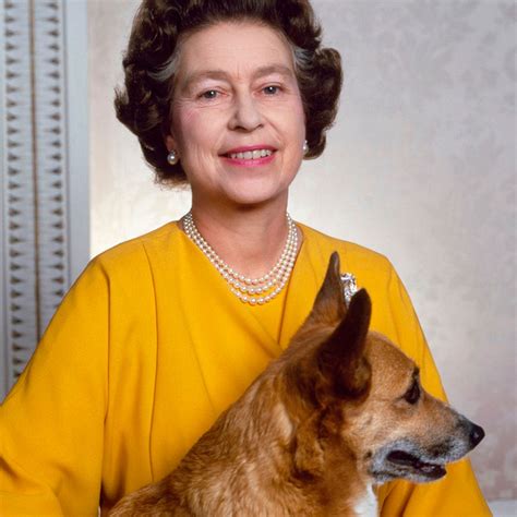 HRH Queen Elizabeth II London Veterinary Surgeries