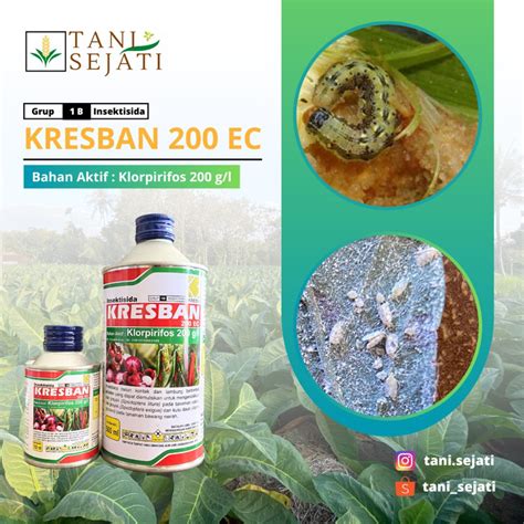 Jual Insektisida Kresban 200 EC Pembasmi Hama Ulat Kutu Kebul Penggerek