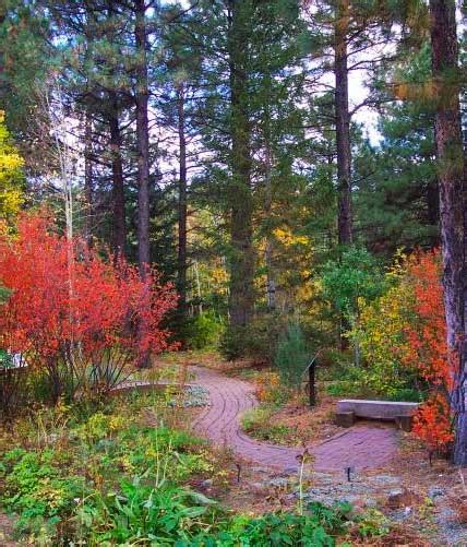 Where to Find Best Fall Leaf Colors in Flagstaff 2024