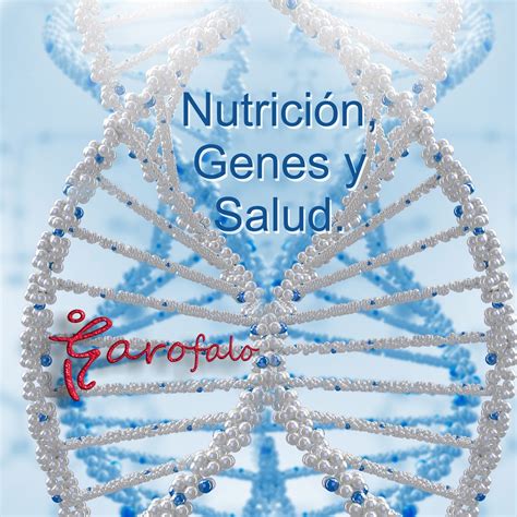 Est Tica Y Nutrici N Garofalo Nutrici N Genes Y Salud