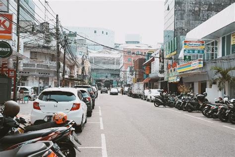 TTS Bunga Anggrek Hantu Atau Palm Polly 11 Huruf Adalah Berikut Ini