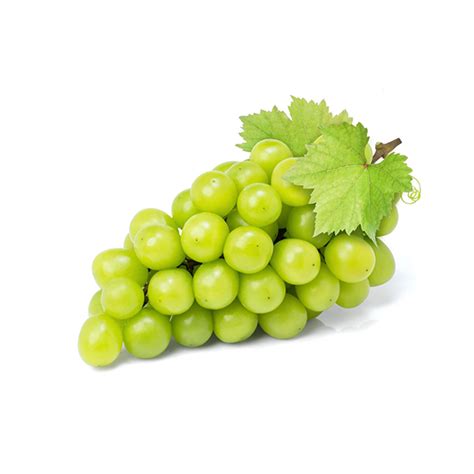 Japanese Grapes Korean Grapes Buy Them Fresh Online In Uae