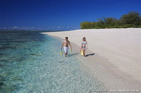 Lady Elliot Island Eco Resort Overnight Package Great Barrier Reef Tour