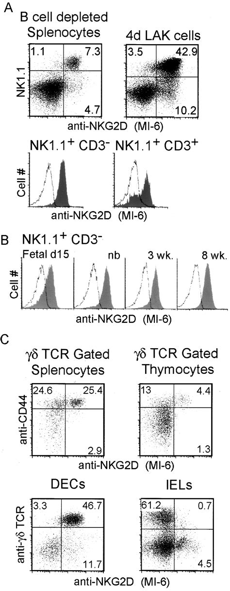 The Role Of The Nkg2d Immunoreceptor In Immune Cell Activation And Natural Killing Immunity