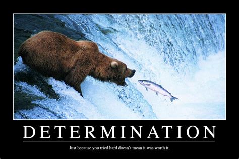 Ambition Bear Fish Funny Demotivational Poster 12x18 Inch | eBay