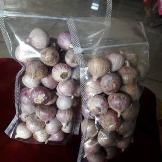 Jual Bawang Putih Tunggal Bawang Lanang Pilihan Shopee Indonesia