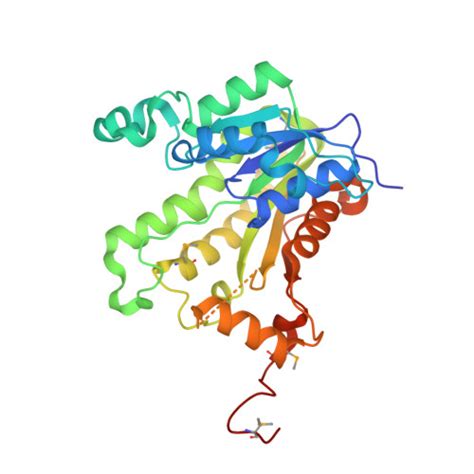 Rcsb Pdb 2o50 The Crystal Structure Of Toxoplasma Gondii Enoyl Acyl