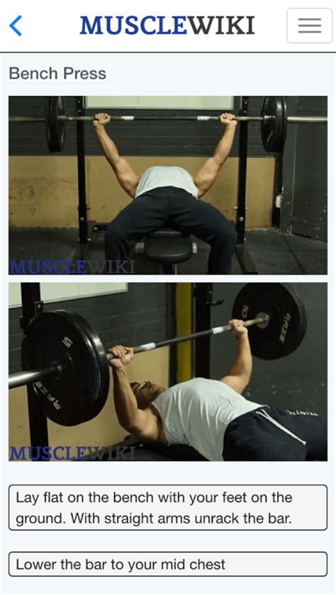 MuscleWiki Fitness APK for Android - Download