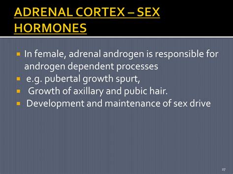 Ppt Adrenal Glands Powerpoint Presentation Free Download Id2178934