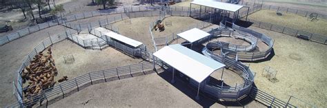 Tropical Breed Cattle Yard Features Proway