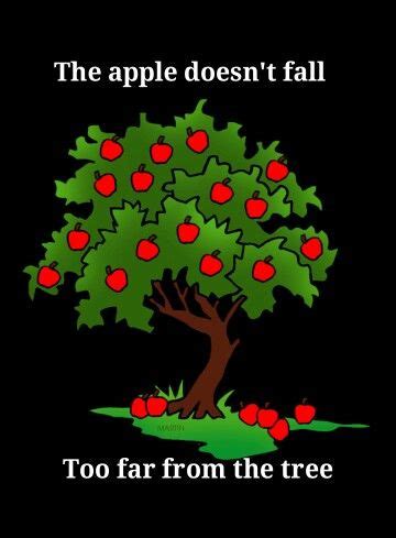 The Apple Doesn T Fall Too Far From The Tree Quotes Pinterest