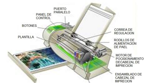 Partes De Una Impresora Quecartucho Es