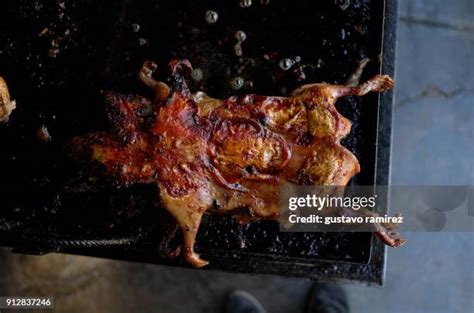 17 Guinea Pig Grill Stock Photos, High-Res Pictures, and Images - Getty Images