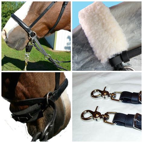 Bitless Bridle Accessory Package - The Bitless Bridle by Dr. Robert Cook