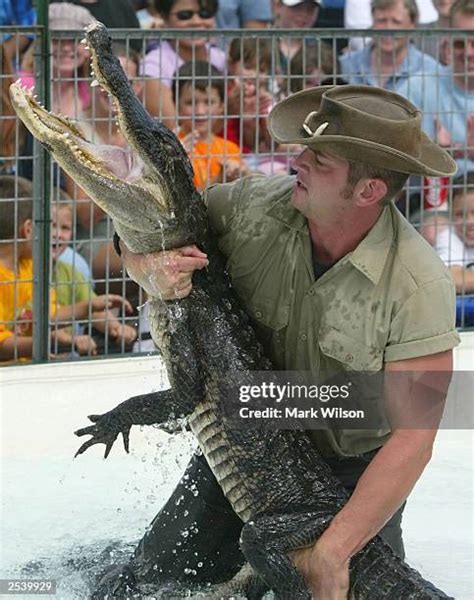 24 Man Wrestling Alligator Stock Photos, High-Res Pictures, and Images ...