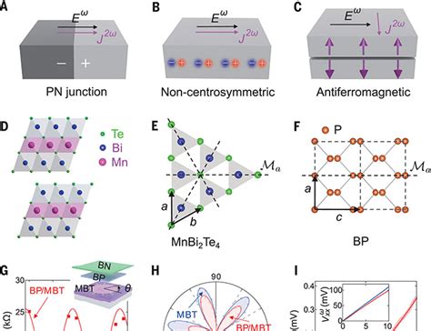 Quantum Metric Nonlinear Hall Effect In A Topological Antiferromagnetic