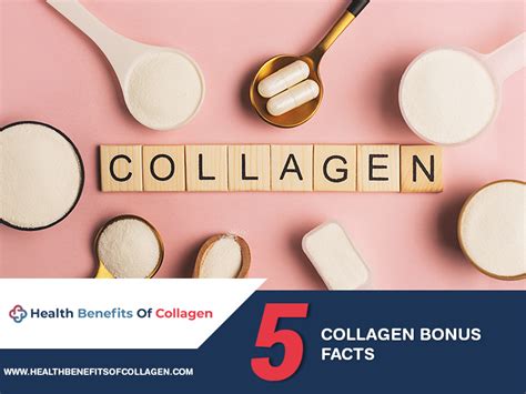 Health Benefits Of Collagen A Beginners Guide To Collagen Health