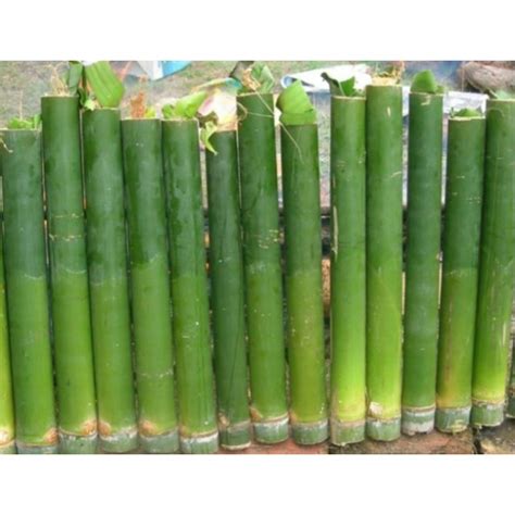 Hiasan Lemang Raya Joseph Black