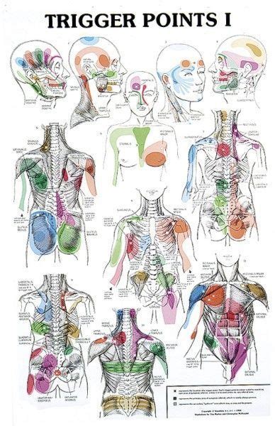 Trigger Point Massage Techniques Massage Therapy Reflexology