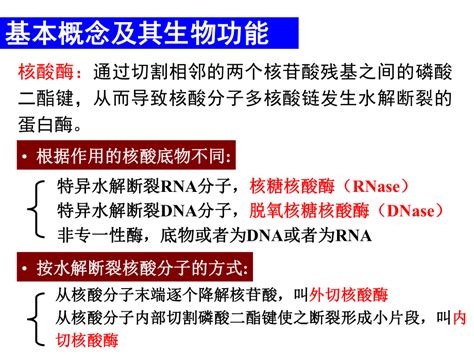 影响限制性内切酶活性的因素ppt课件