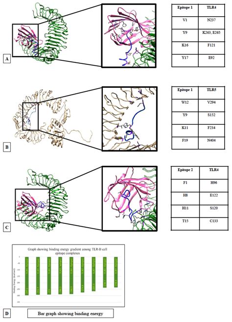 Strategy To Configure Multi Epitope Recombinant Immunogens With