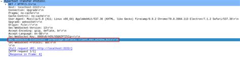 Optional Sec WebSocket Extensions And Extension Parameters Issue 55