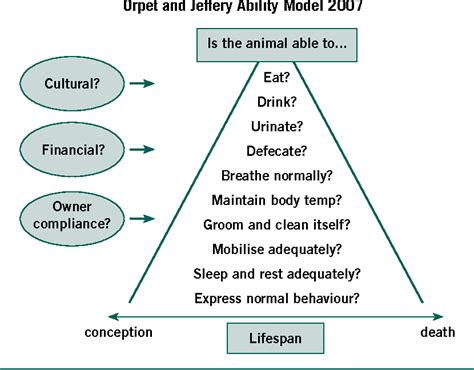 Figure From Using The Ability Model To Design And Implement A Patient