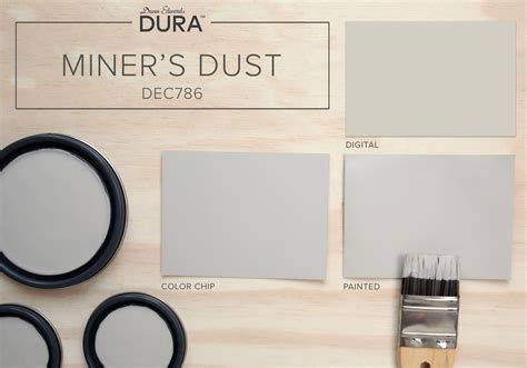 Miner S Dust DEC 786 Dunn Edwards Paint Grey Beige Paint Beige