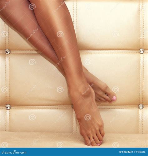 Beautiful Shapely Female Legs Stock Image Image Of Beige Body