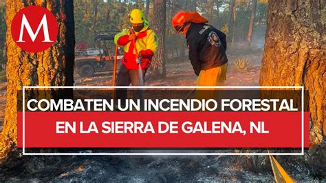 Protección Civil logra controlar en un 80 incendio en la Sierra de