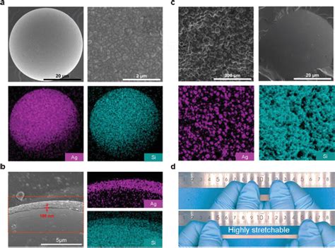 A SEM Image Local Highresolution SEM Image And EDS Mapping Of