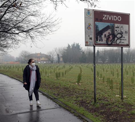 Dallunione Tra Comune E Arbolia Il Bosco Urbano Da Mila Alberi