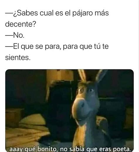 Sabes cuál es el pájaro más decente No El que se para para que tú