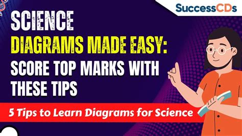 Science Diagrams Made Easy Score Top Marks With These Tips 5 Tips To