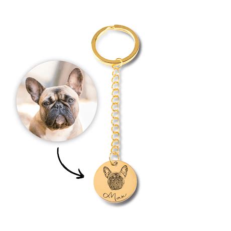 Top Id Es Cadeaux Pour Fan De Chiens Cadeauzapp