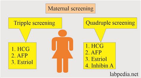 Maternal Screening Part Maternal Triple Or Quadruple Screening