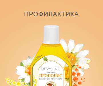 Официальный представитель Revyline в Челябинске
