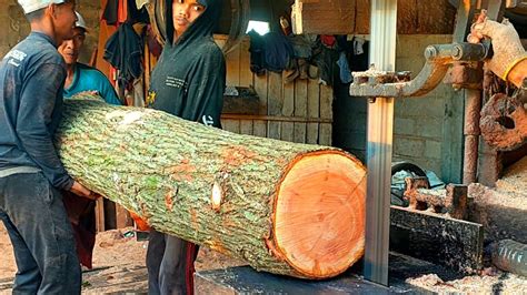 Untung Berlipat Kayu Mahoni Super Disawmil Jadi Papan Furniture