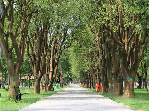 Reinauguran el Bosque de Aragón con jardines para colibríes