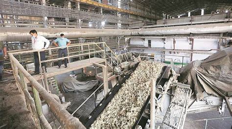 Punjab Okays Operation Of Phagwara Sugar Mill Till Feb Jalandhar News