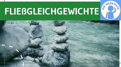 Fließgleichgewichte Definition Beispiel dynamisches Gleichgewicht